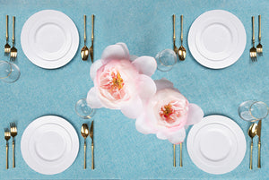 White Elegant Soup Bowls